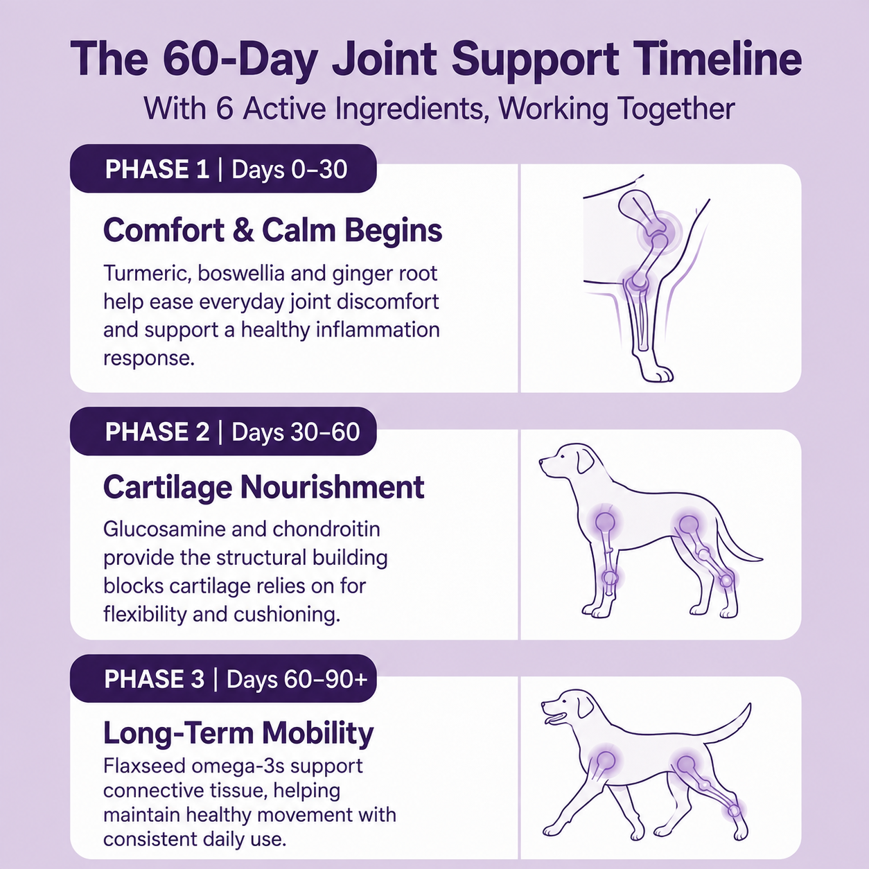 Joint Support Chews for Dogs (150 Count, Chicken Flavour)